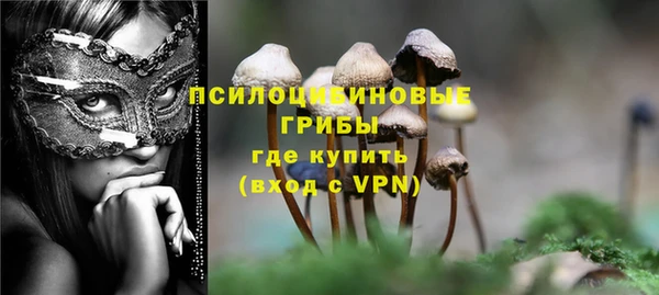 соль ск Карпинск